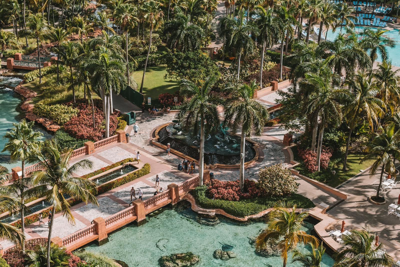 Aerial photo of palm trees and grounds in Menorca